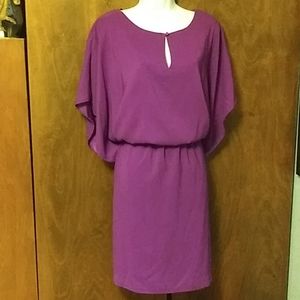 NWOT SUZI CHIN PURPLE DRESS